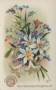1895 Arm & Hammer Beautiful Flowers (J16 Large) #19 Star of Bethlehem & Forget-Me-Not Front