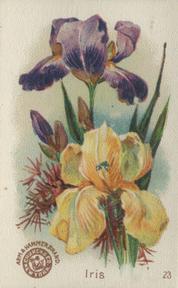 1895 Arm & Hammer Beautiful Flowers (J16 Large) #23 Iris Front
