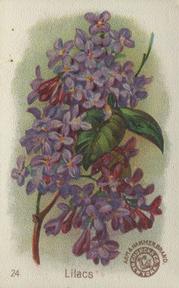 1895 Arm & Hammer Beautiful Flowers (J16 Large) #24 Lilacs Front