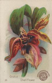 1895 Arm & Hammer Beautiful Flowers (J16 Large) #26 Orchid, Shell Flower Front