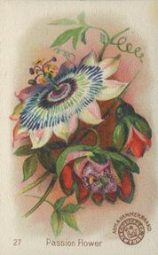 1895 Arm & Hammer Beautiful Flowers (J16 Large) #27 Passion Flower Front