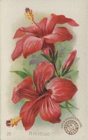 1895 Arm & Hammer Beautiful Flowers (J16 Large) #29 Hibiscus Front
