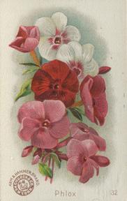 1895 Arm & Hammer Beautiful Flowers (J16 Large) #32 Phlox Front