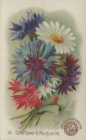 1895 Arm & Hammer Beautiful Flowers (J16 Large) #38 Corn Flower & Marguerite Front