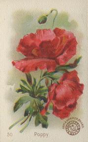 1895 Arm & Hammer Beautiful Flowers (J16 Large) #50 Poppy Front