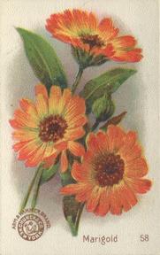1895 Arm & Hammer Beautiful Flowers (J16 Large) #58 Marigold Front