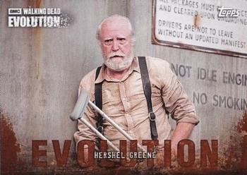 2017 Topps The Walking Dead: Evolution - Brown #73 Hershel Greene Front