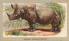 1881 Abdul Animals of the World (T180) #NNO Indian Rhinoceros Front