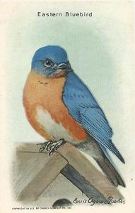 1938 Church & Dwight Useful Birds of America Ninth Series (J9-5) #10 Eastern Bluebird Front