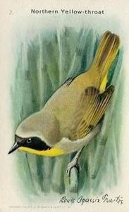 1938 Church & Dwight Useful Birds of America Ninth Series (J9-5) #2 Northern Yellow-throat Front