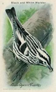 1938 Church & Dwight Useful Birds of America Ninth Series (J9-5) #6 Black-and-white Warbler Front