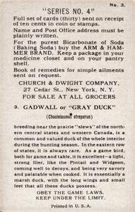 1924 Church & Dwight Useful Birds of America Fourth Series (J8) #3 Gray Duck Back
