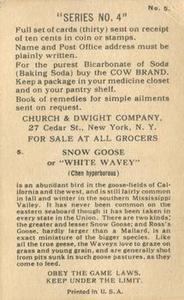 1924 Church & Dwight Useful Birds of America Fourth Series (J8) #5 Snow Goose Back