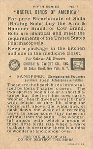1928 Church & Dwight Useful Birds of America Fifth Series (J9-1) #4 Sandpiper Back