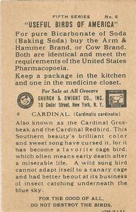 1928 Church & Dwight Useful Birds of America Fifth Series (J9-1) #6 Cardinal Back