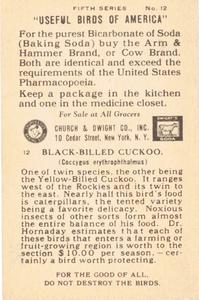 1928 Church & Dwight Useful Birds of America Fifth Series (J9-1) #12 Black-billed Cuckoo Back