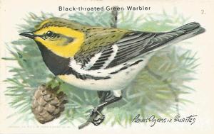 1938 Church & Dwight Useful Birds of America Tenth Series (J9-6) #2 Black-throated Green Warbler Front