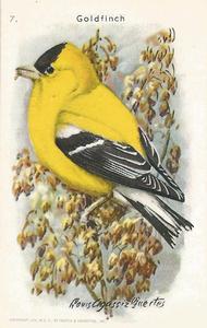 1938 Church & Dwight Useful Birds of America Tenth Series (J9-6) #7 Goldfinch Front