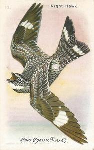 1938 Church & Dwight Useful Birds of America Tenth Series (J9-6) #13 Night Hawk Front