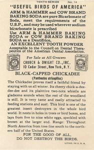1938 Church & Dwight Useful Birds of America Tenth Series (J9-6) #14 Black-capped Chickadee Back