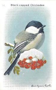 1938 Church & Dwight Useful Birds of America Tenth Series (J9-6) #14 Black-capped Chickadee Front