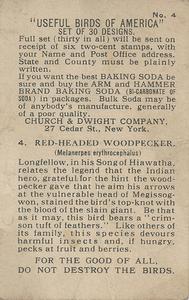 1915 Church & Dwight Useful Birds of America First Series (J5) #4 Red-headed Woodpecker Back