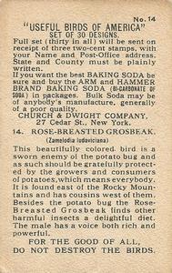 1915 Church & Dwight Useful Birds of America First Series (J5) #14 Rose-breasted Grosbeak Back