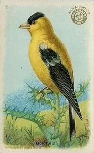 1915 Church & Dwight Useful Birds of America First Series (J5) #15 Goldfinch Front