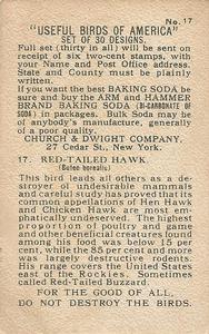 1915 Church & Dwight Useful Birds of America First Series (J5) #17 Red-tailed Hawk Back