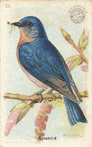1915 Church & Dwight Useful Birds of America First Series (J5) #25 Bluebird Front
