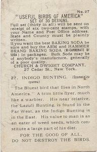 1915 Church & Dwight Useful Birds of America First Series (J5) #27 Indigo Bunting Back
