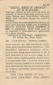 1915 Church & Dwight Useful Birds of America First Series (J5) #28 Cardinal Back