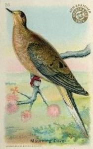 1915 Church & Dwight Useful Birds of America First Series (J5) #26 Mourning Dove Front