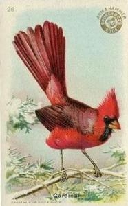 1915 Church & Dwight Useful Birds of America First Series (J5) #28 Cardinal Front