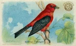 1915 Church & Dwight Useful Birds of America First Series (J5) #29 Scarlet Tanager Front