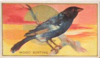 1910 American Tobacco Bird Series (T42) #NNO Indigo Bunting Front
