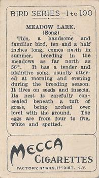 1910 American Tobacco Bird Series (T42) #NNO Meadow Lark Back