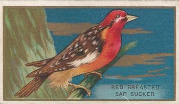 1910 American Tobacco Bird Series (T42) #NNO Red Breasted Sap Sucker Front