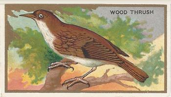 1910 American Tobacco Bird Series (T42) #NNO Wood Thrush Front