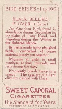 1910 American Tobacco Bird Series (T42) #NNO Black Bellied Plover Back