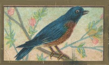 1910 American Tobacco Bird Series (T42) #NNO Blue Bird Front