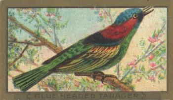 1910 American Tobacco Bird Series (T42) #NNO Blue Headed Tanager Front