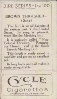1910 American Tobacco Bird Series (T42) #NNO Brown Thrasher Back