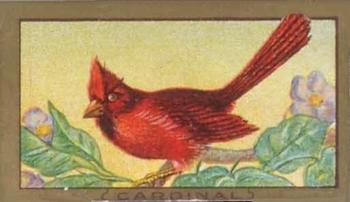 1910 American Tobacco Bird Series (T42) #NNO Cardinal Front