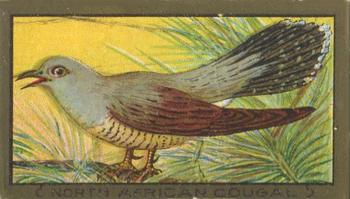 1910 American Tobacco Bird Series (T42) #NNO North African Cougal Front