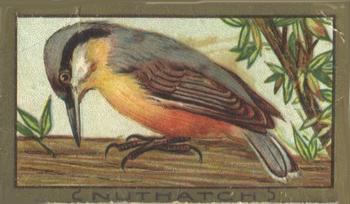 1910 American Tobacco Bird Series (T42) #NNO Nuthatch Front