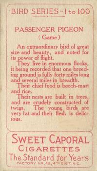 1910 American Tobacco Bird Series (T42) #NNO Passenger Pigeon Back
