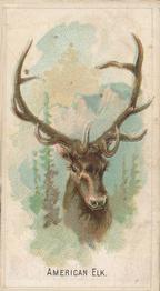 1910 Philadelphia Confections Zoo Animals (E29) #4 American Elk Front