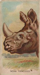 1910 Philadelphia Confections Zoo Animals (E29) #20 Indian Rhinoceros Front