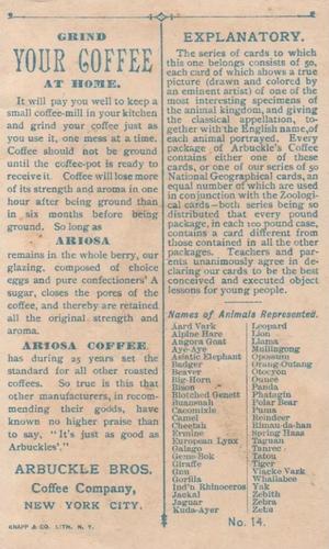 1890 Arbuckle's Coffee Animals (Zoological) (K1) #14 Jackal Back